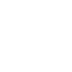 Dinner