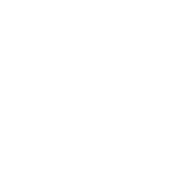 Social care